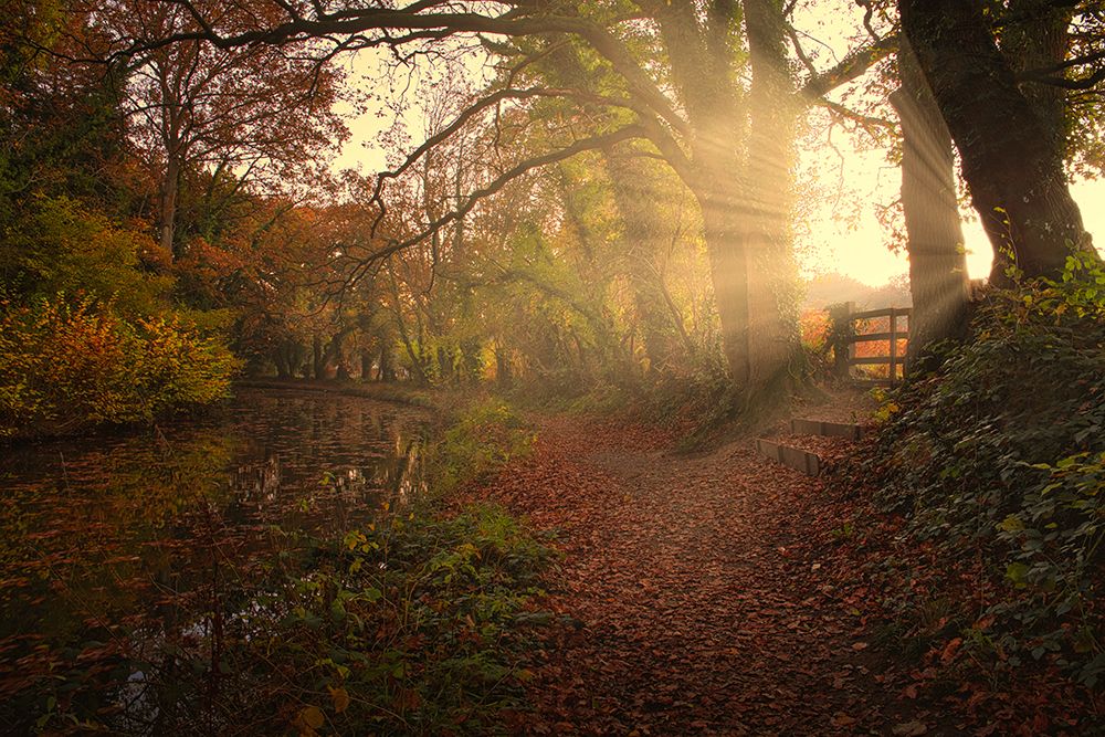 Sunset By The Canal art print by Peter Davidson for $57.95 CAD