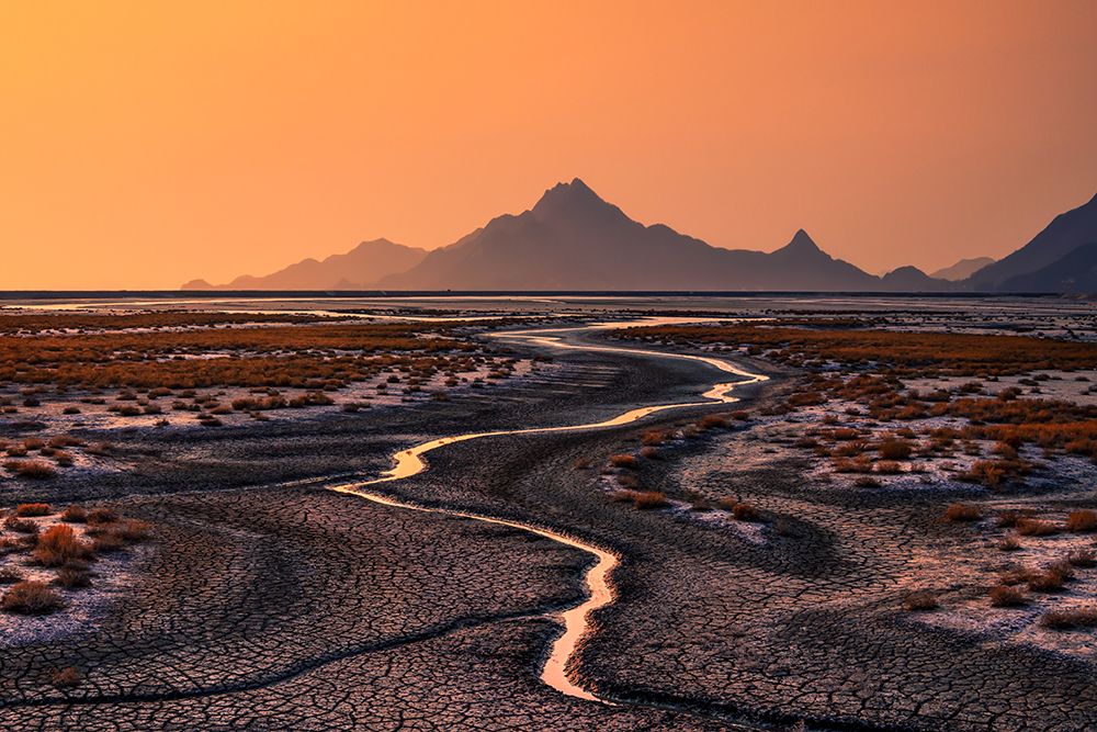Drought art print by Tiger Seo for $57.95 CAD