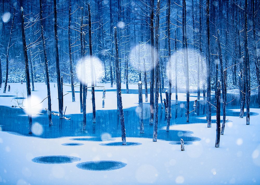 Fairyland art print by Hidenori Sono for $57.95 CAD