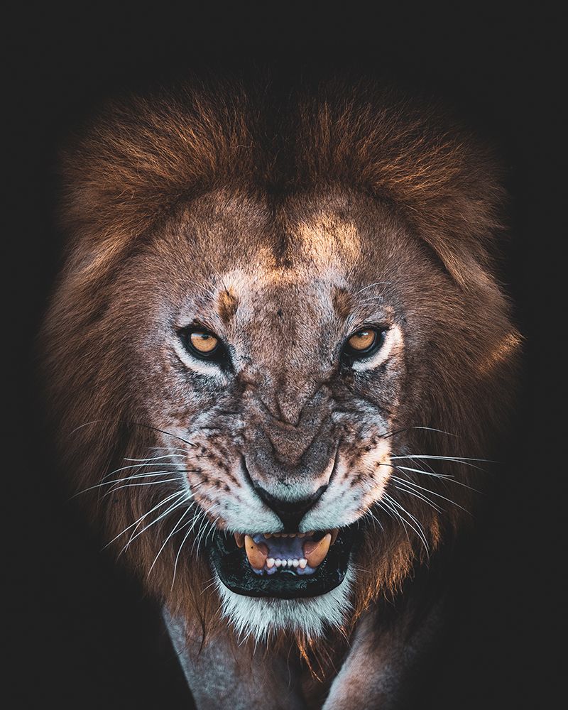 The Angry Face art print by Faisal Alnomas for $57.95 CAD