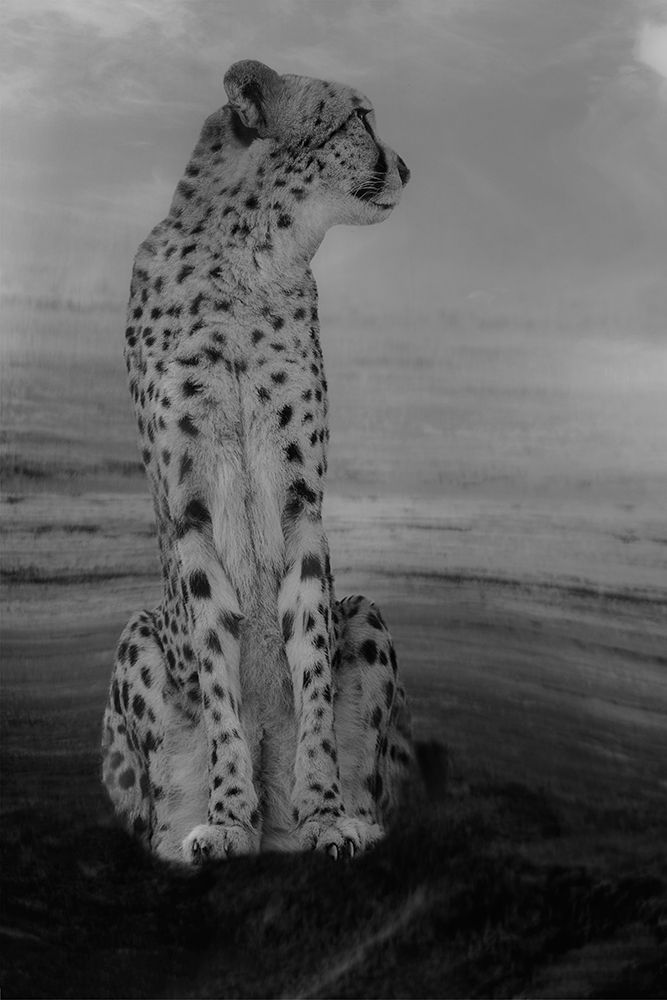 Cheetah on the Watch art print by Krystina Wisniowska for $57.95 CAD