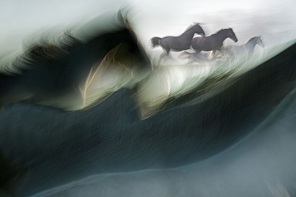 Shadows of power art print by Milan Malovrh for $57.95 CAD