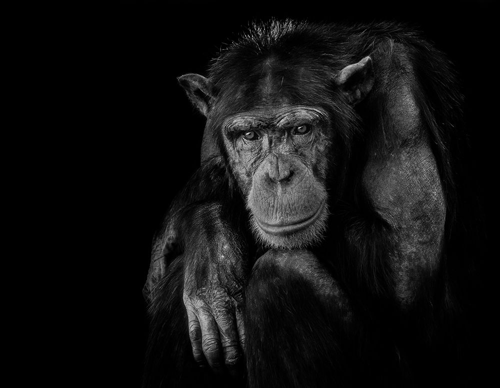 Youth dont last forever. art print by Nauzet Baez Photography for $57.95 CAD