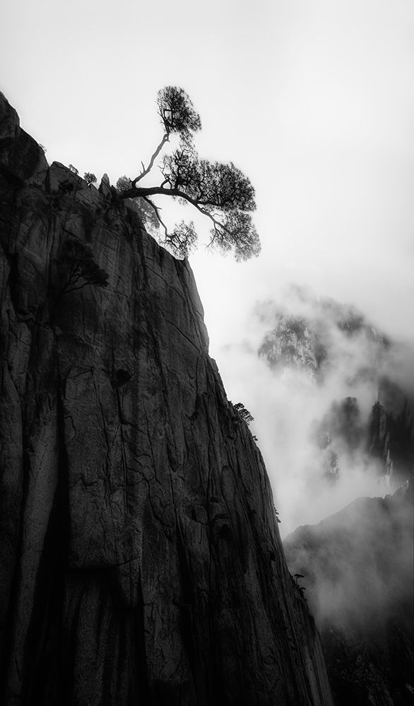 Mt. Huang art print by Cher Gu for $57.95 CAD