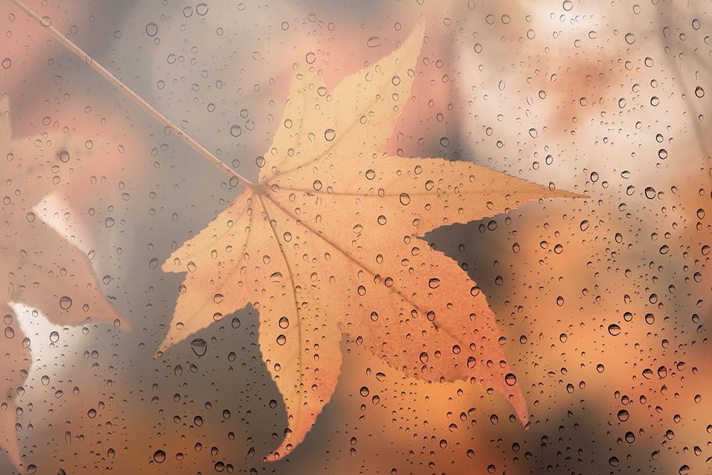 Melancholy art print by Lenka for $57.95 CAD