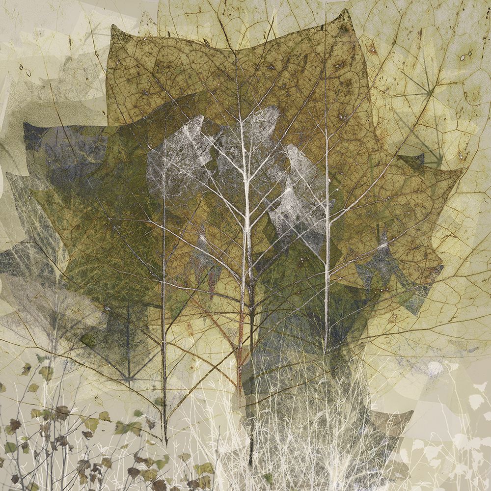 Transient art print by Nel Talen for $57.95 CAD