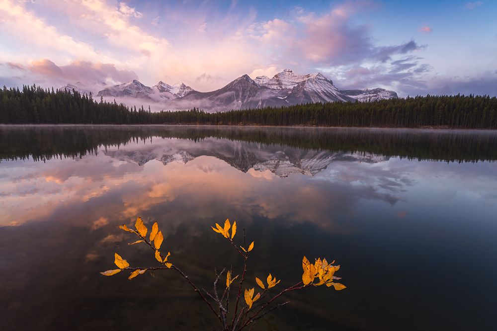 Last Fall View art print by Yongnan Li for $57.95 CAD