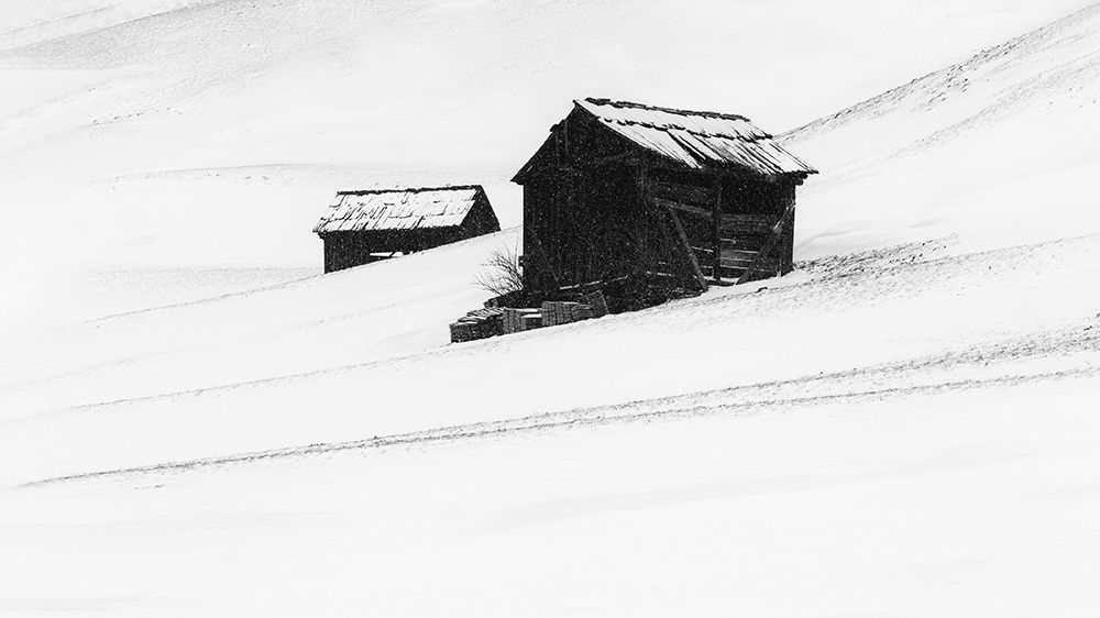 first snow art print by Uschi Hermann for $57.95 CAD