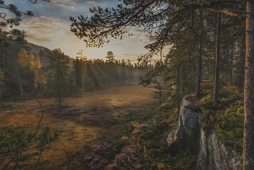 Autumn Mood art print by Sven Olav Vahlenkamp for $57.95 CAD