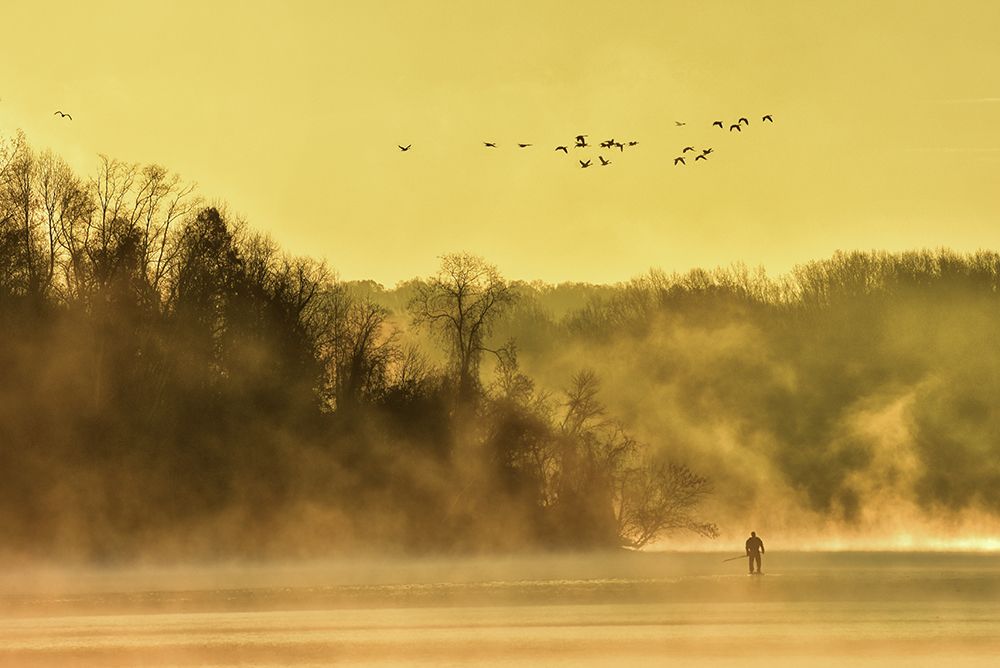 Paddling Into Fall art print by Eric Zhang for $57.95 CAD
