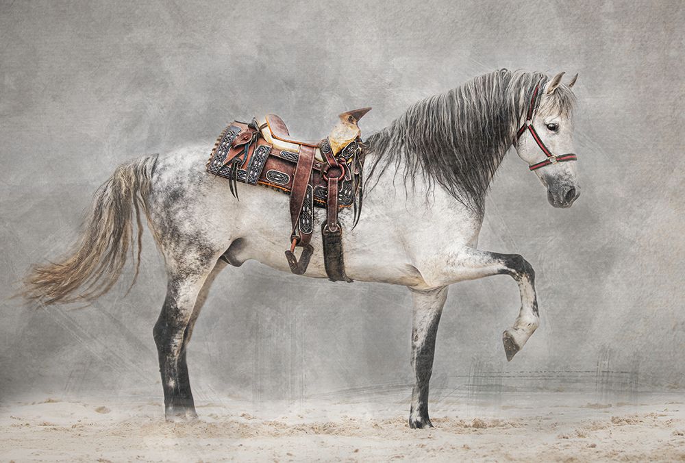 Strike A Pose art print by Julie Tennant for $57.95 CAD