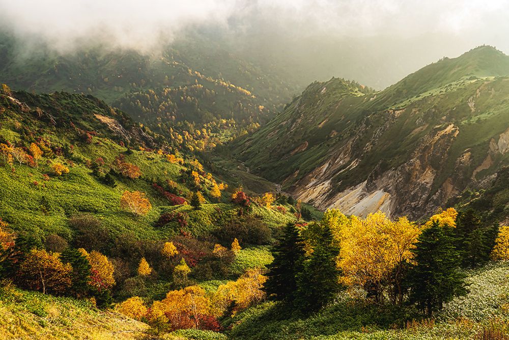 Alpine Autumn. art print by Yuusuke Hisamitsu for $57.95 CAD