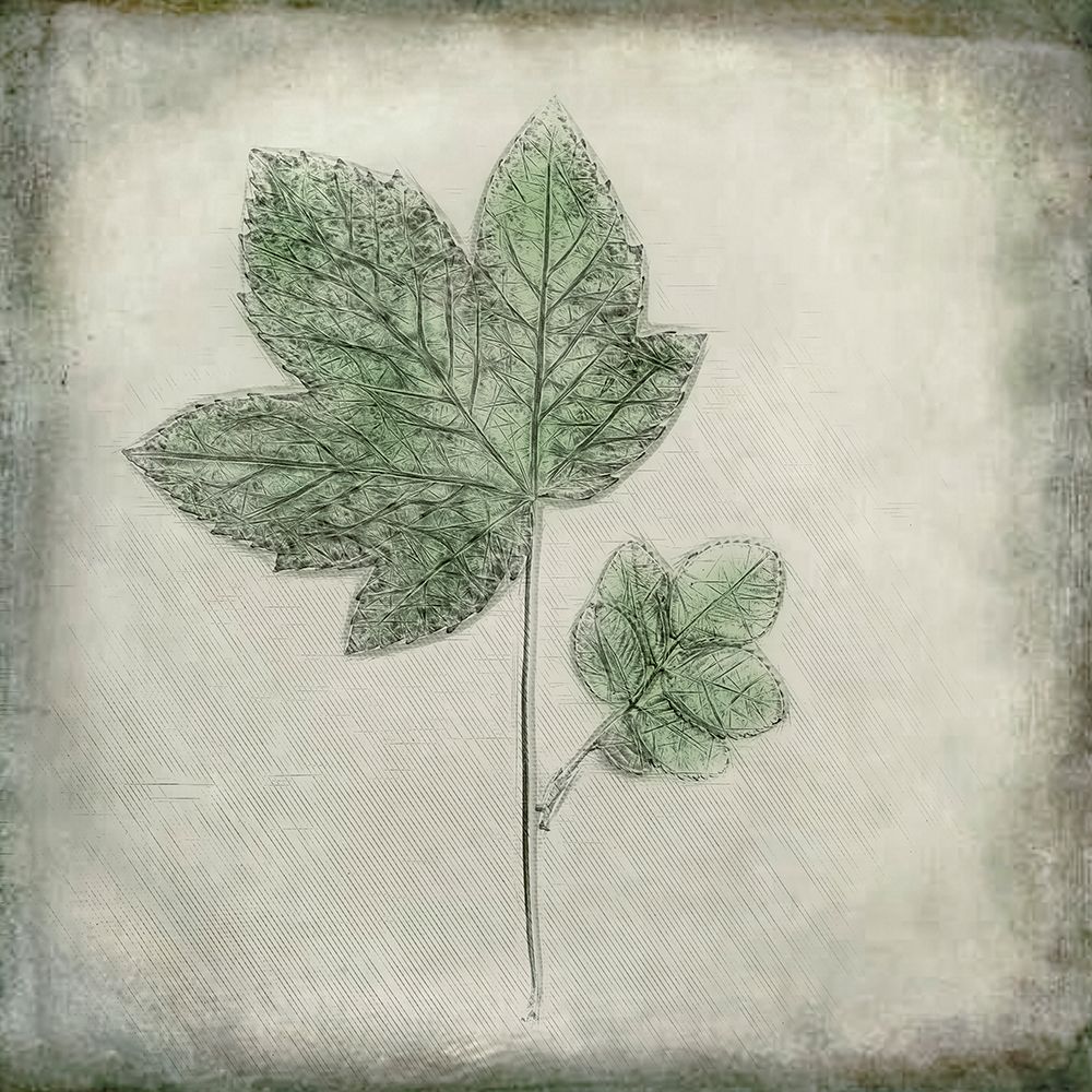 Before the Decay art print by Cicek Kiral for $57.95 CAD