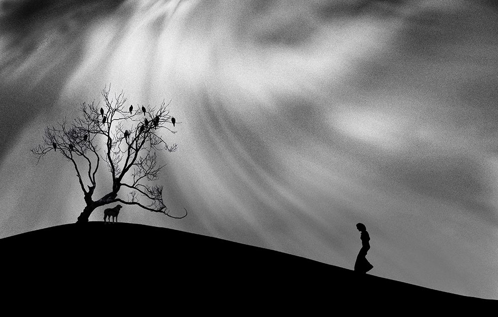 Uphill Walk art print by Peter Hammer for $57.95 CAD