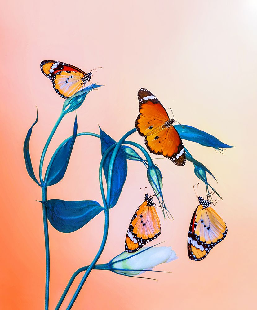 Family art print by Mustafa ozturk for $57.95 CAD