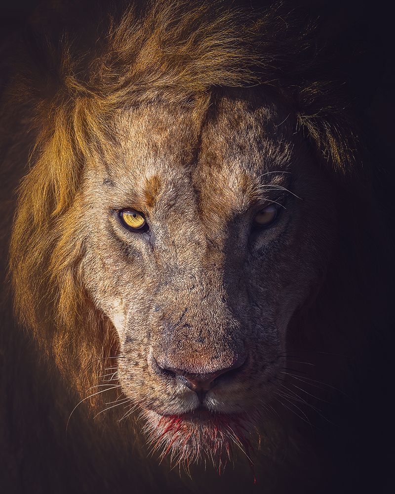Bleeding Food by Faisal ALnomas