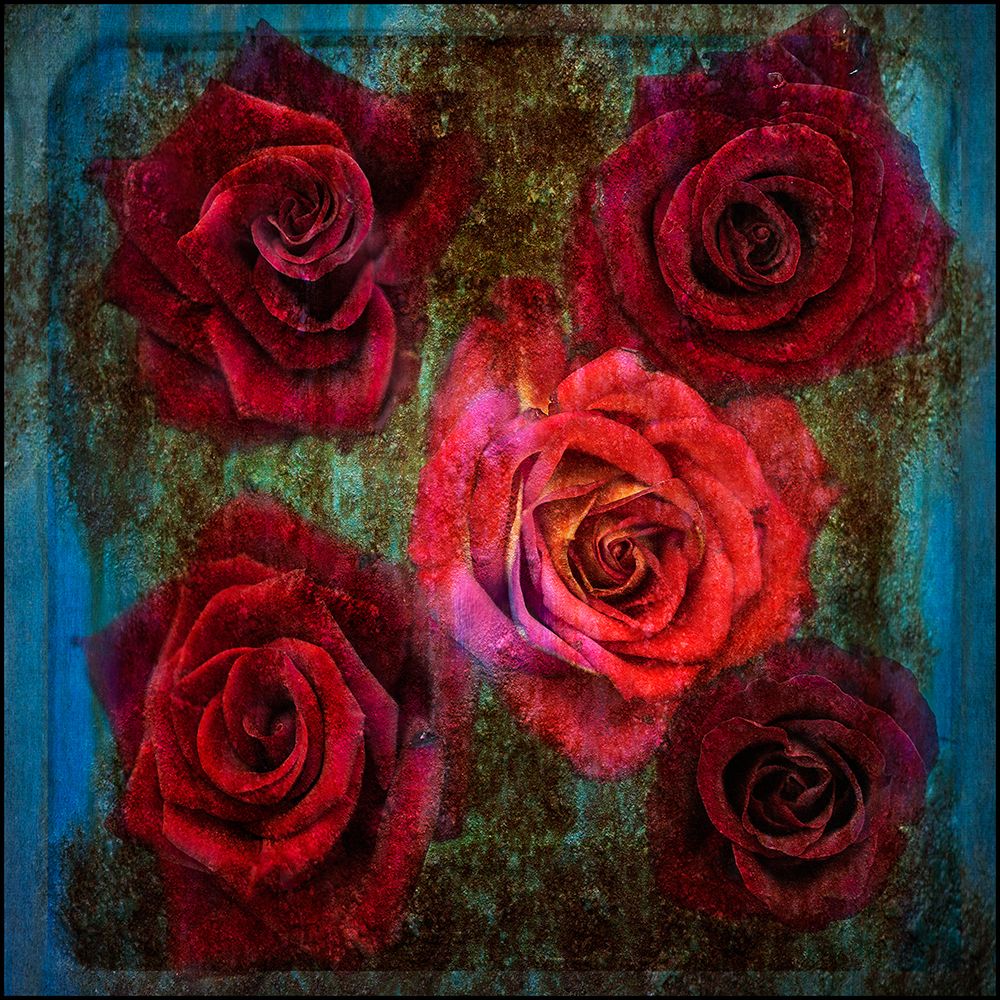 Old Love Never Dies art print by Katarina Holmstrom for $57.95 CAD