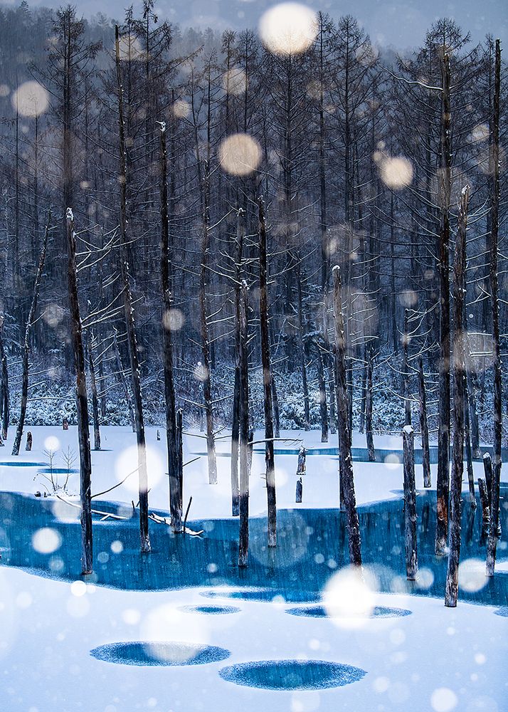 Never-never Land art print by Hidenori Sono for $57.95 CAD