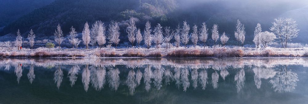 Cold morning art print by Tiger Seo for $57.95 CAD