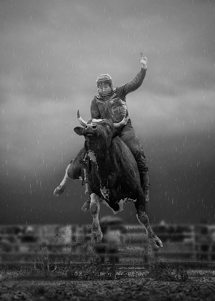 Bull Riding  Ontario #2 art print by little7 for $57.95 CAD