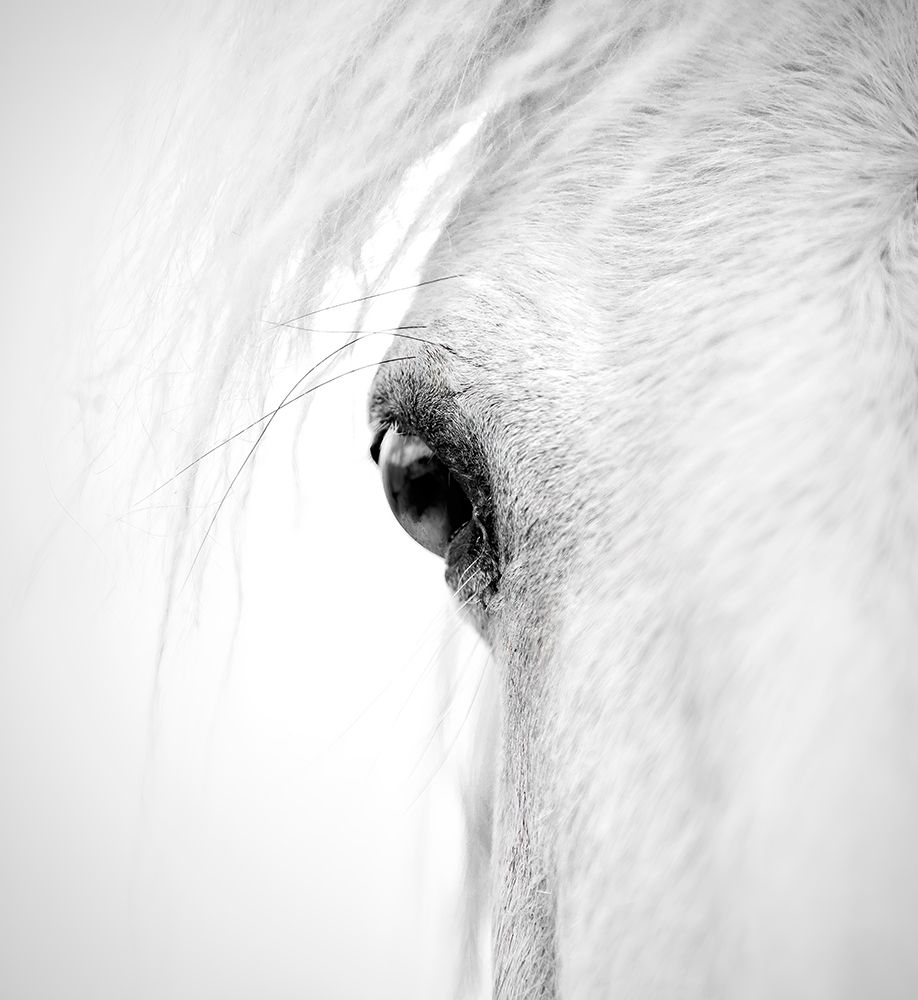 Hose eye art print by Alex Zhao for $57.95 CAD