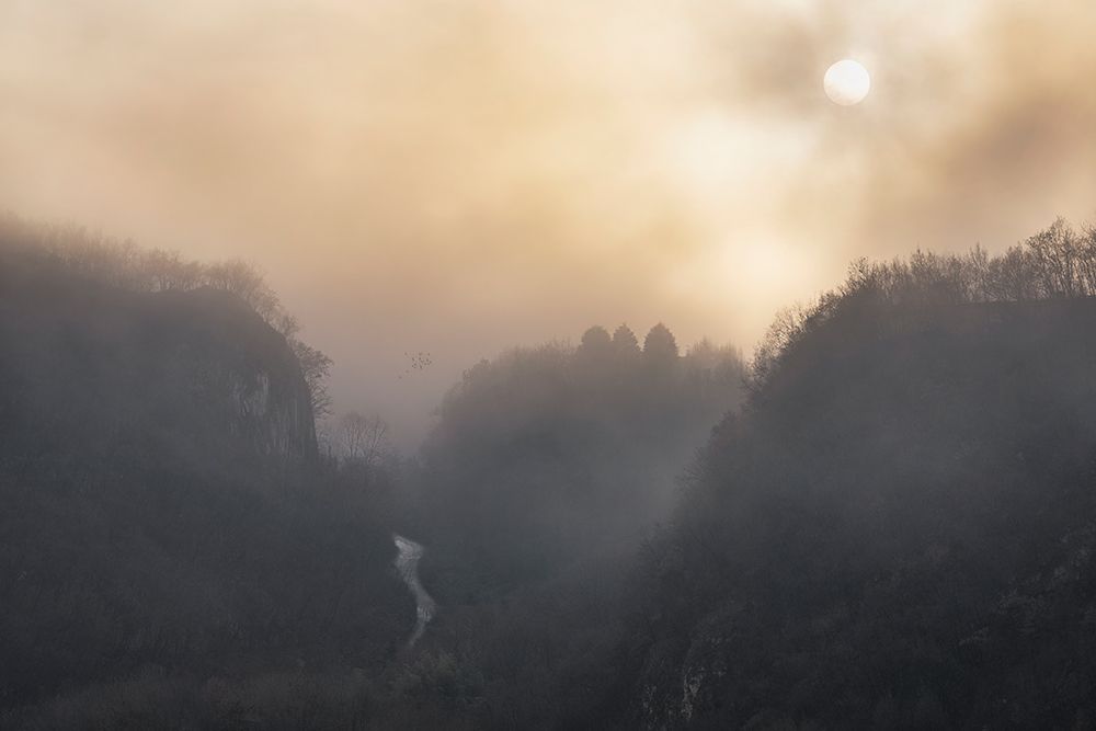 Gold Valley art print by Marina Anghileri for $57.95 CAD