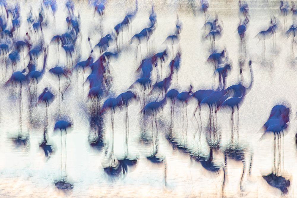 Sensory impressions art print by Martine Benezech for $57.95 CAD