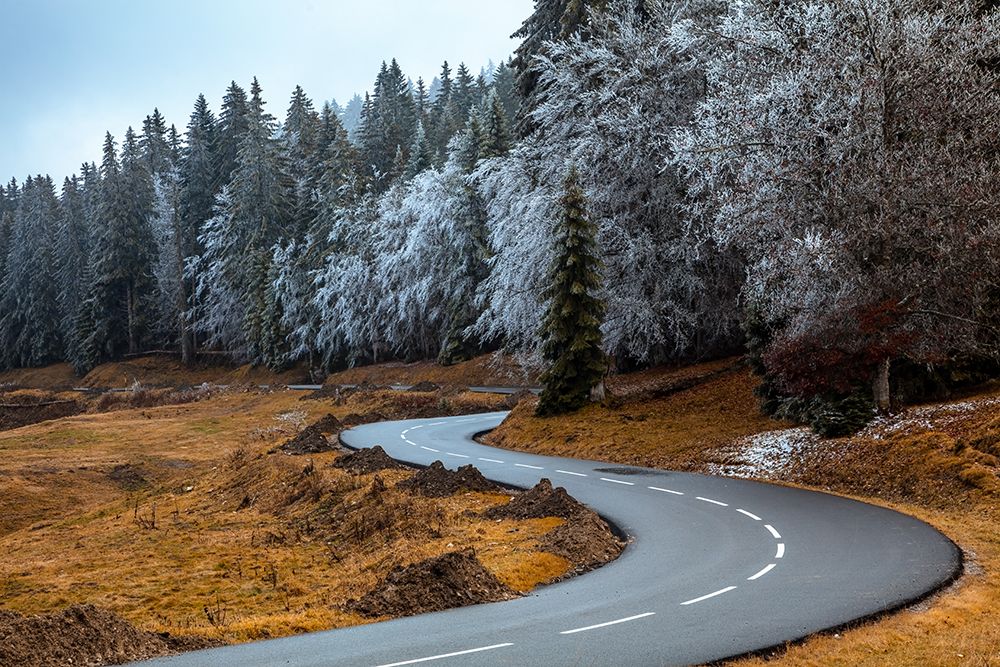The road and the frozen trees art print by Visions Paralleles for $57.95 CAD