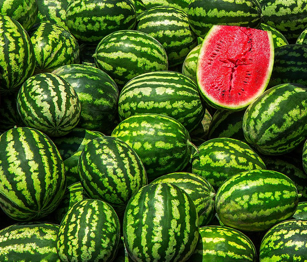 Red In Green art print by Sayyed Nayyer Reza for $57.95 CAD