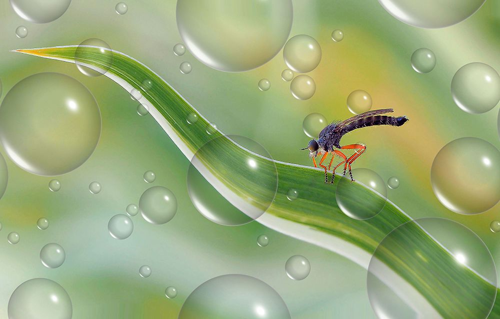 Migration To Another Planet... art print by Thierry Dufour for $57.95 CAD