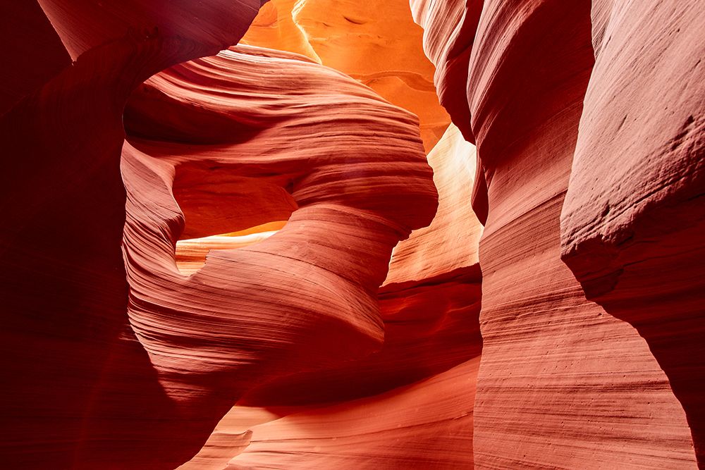 Natural Sculpture art print by Shin Woo Ryu for $57.95 CAD