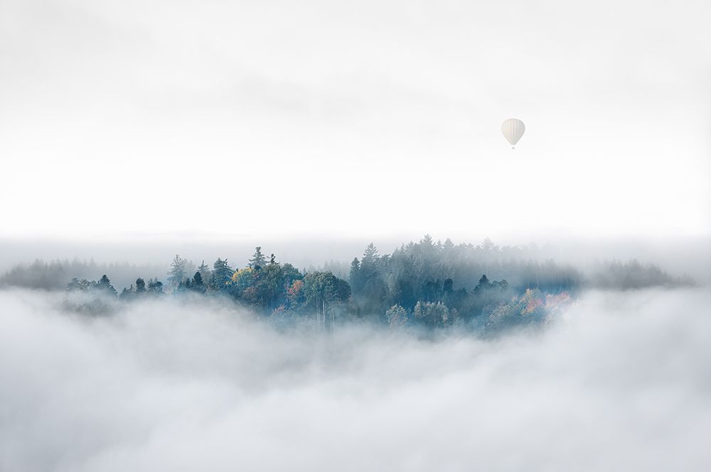 Misty Morning Surprise art print by Matthias Bergolth for $57.95 CAD
