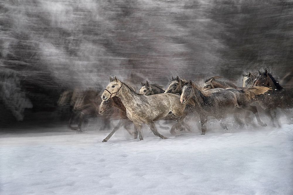 Winter joy art print by Milan Malovrh for $57.95 CAD
