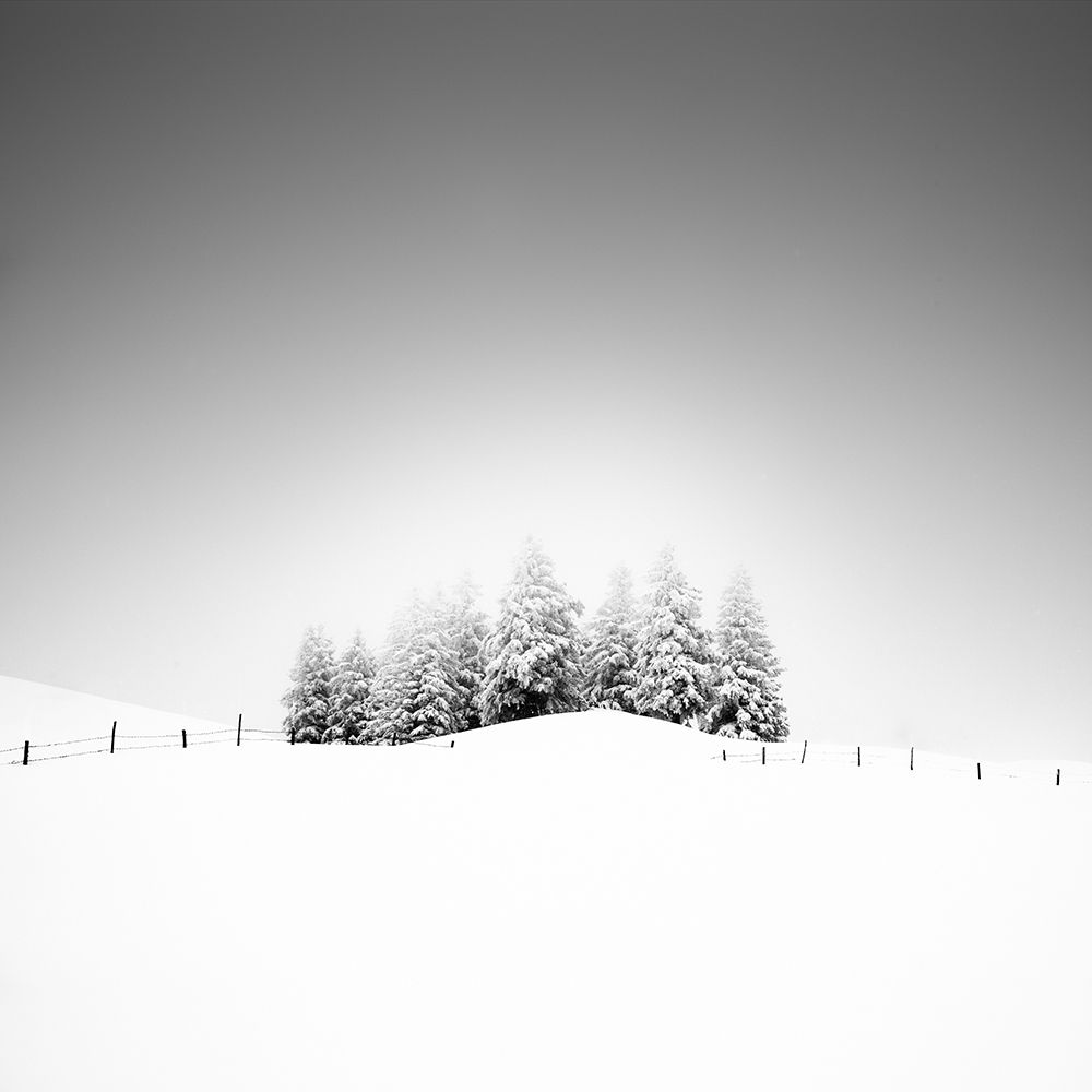 Cohesion art print by Alexej Schulz for $57.95 CAD