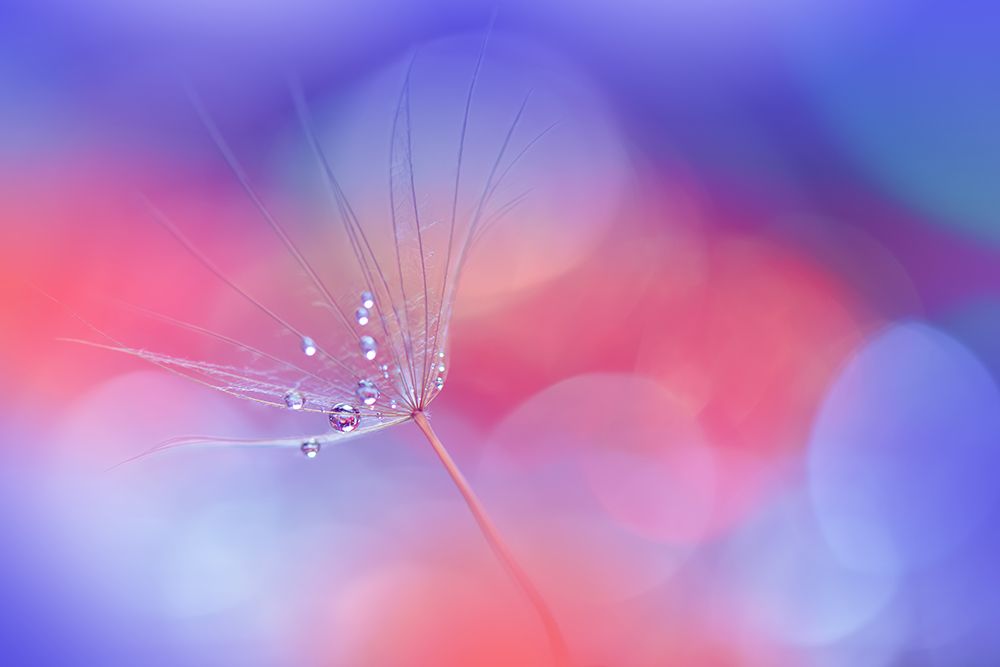 Creation Of Life..II art print by Juliana Nan for $57.95 CAD
