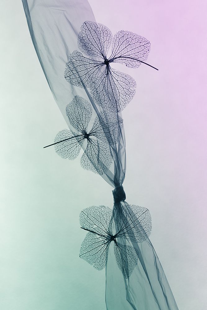3 Flowers art print by Shihya Kowatari for $57.95 CAD