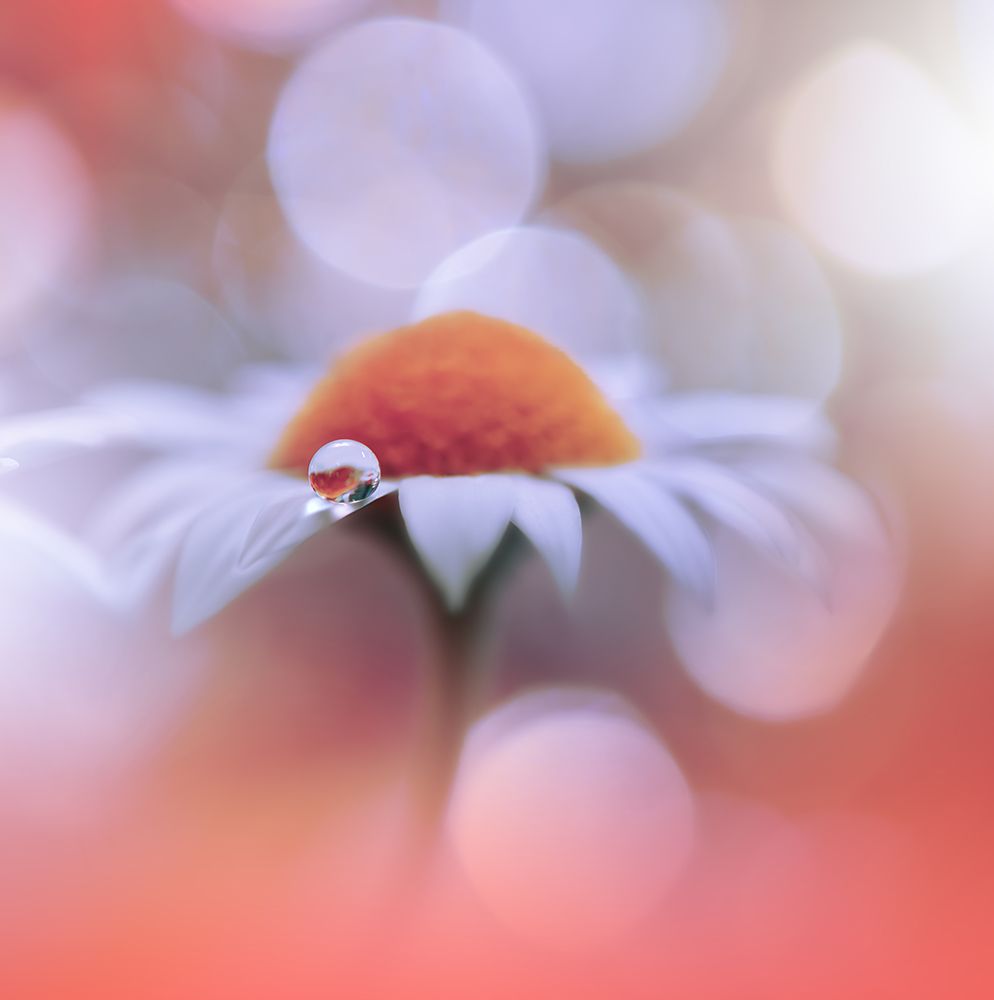 Summer Mood.. art print by Juliana Nan for $57.95 CAD