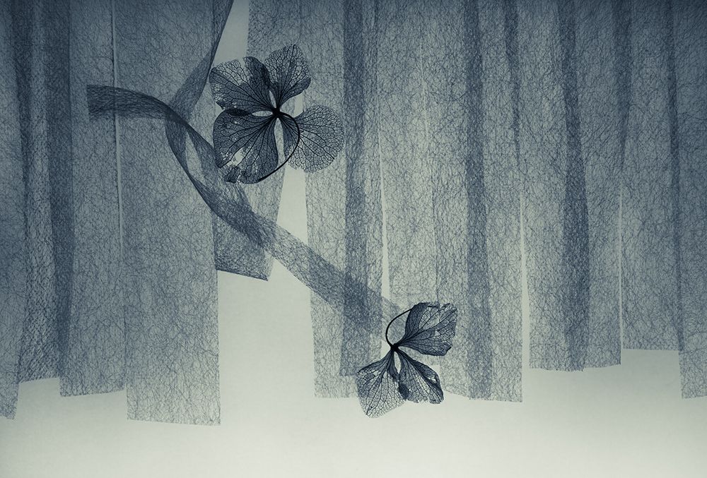 Ephemeral Beauty art print by Shihya Kowatari for $57.95 CAD