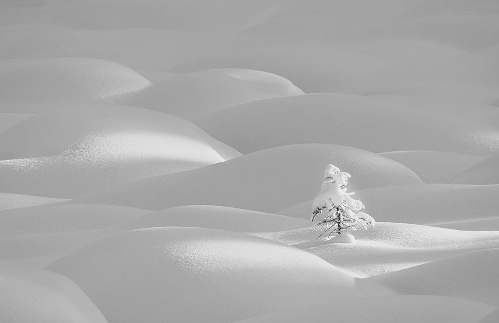 Alone art print by Dennis Zhang for $57.95 CAD