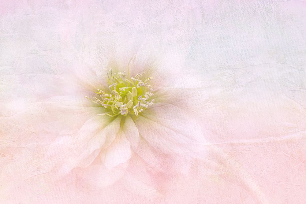 Over The Rainbow art print by Jacky Parker for $57.95 CAD