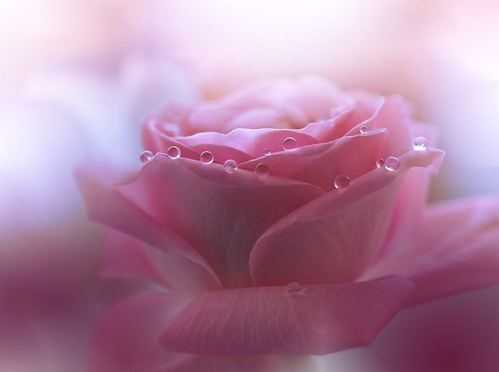 Will We Be Enough.. art print by Juliana Nan for $57.95 CAD