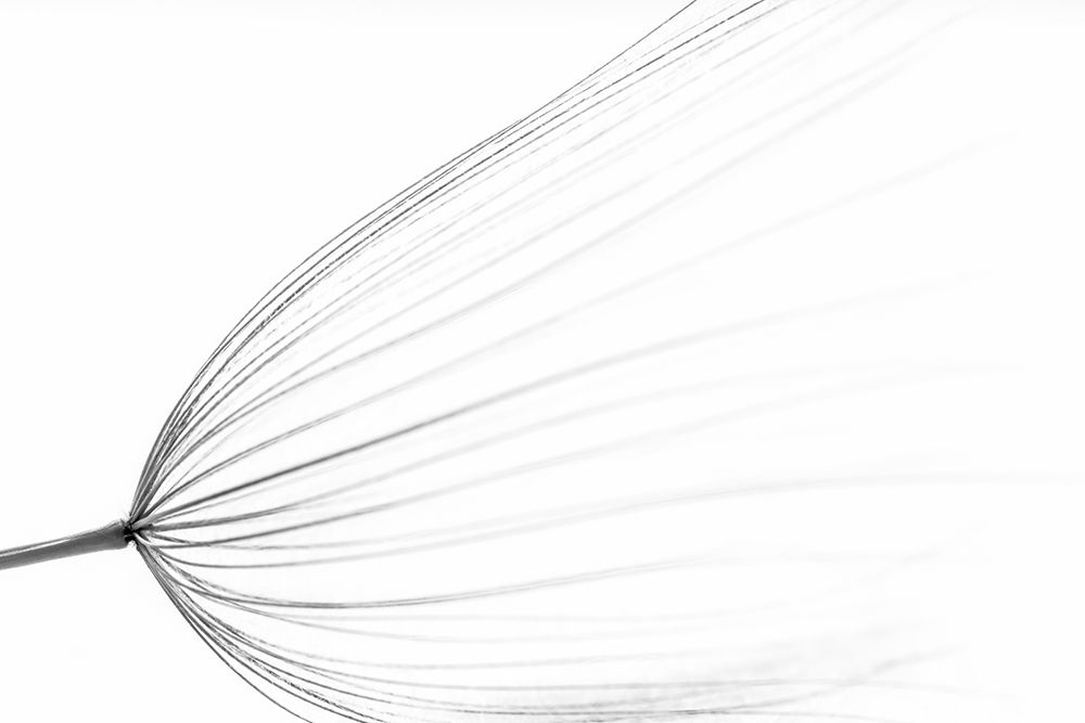 The Big Minimal art print by Rino Terravecchia for $57.95 CAD