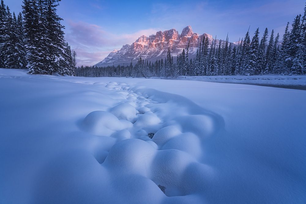 Snow Castle art print by Yongnan Li for $57.95 CAD