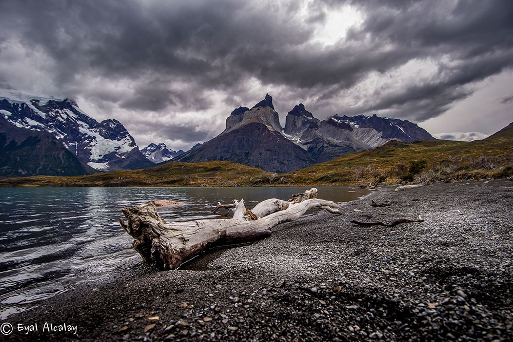 Torres Del Pine art print by Eyal Alcalay for $57.95 CAD