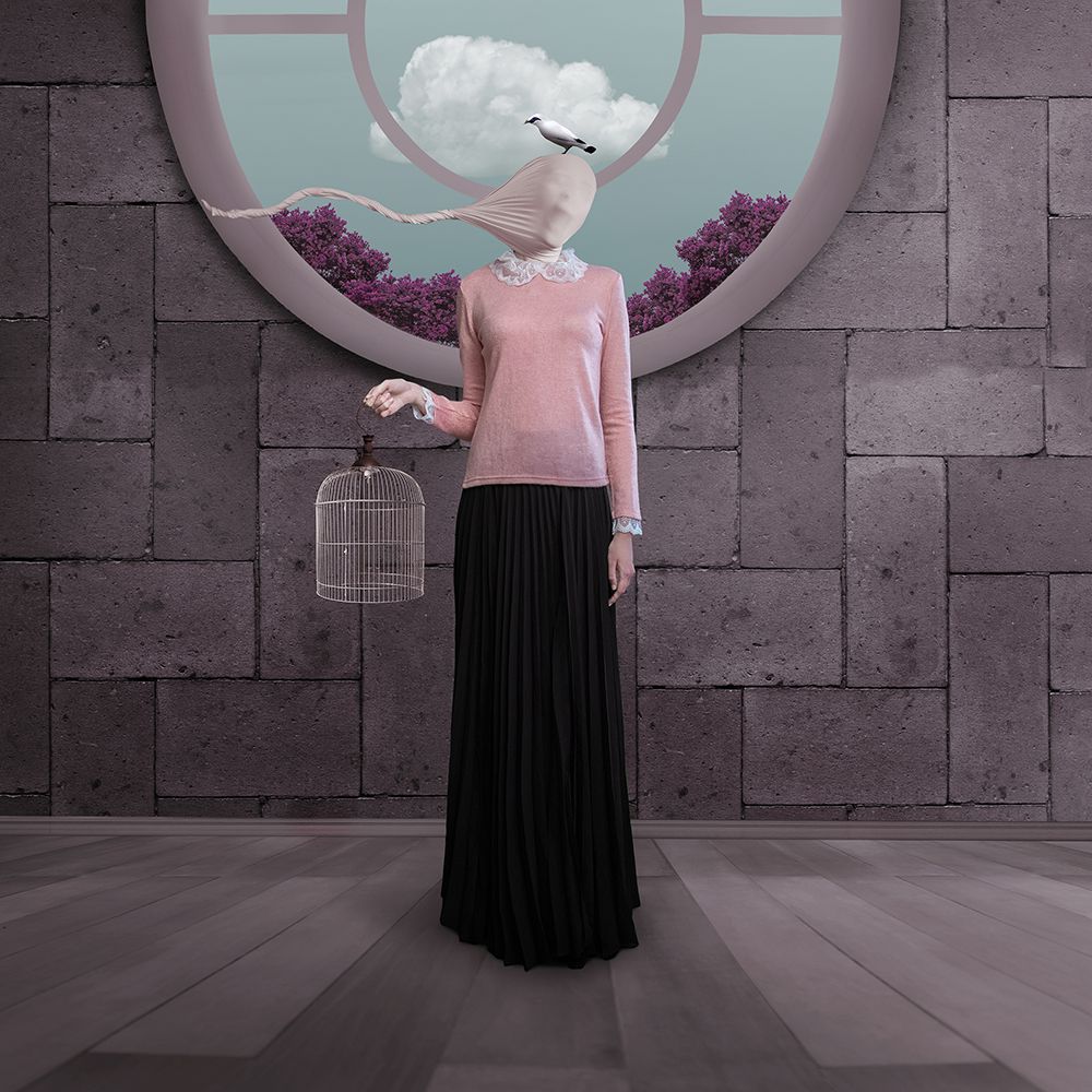 The Bird Flew And Lady Miss Her Already art print by Hardibudi for $57.95 CAD