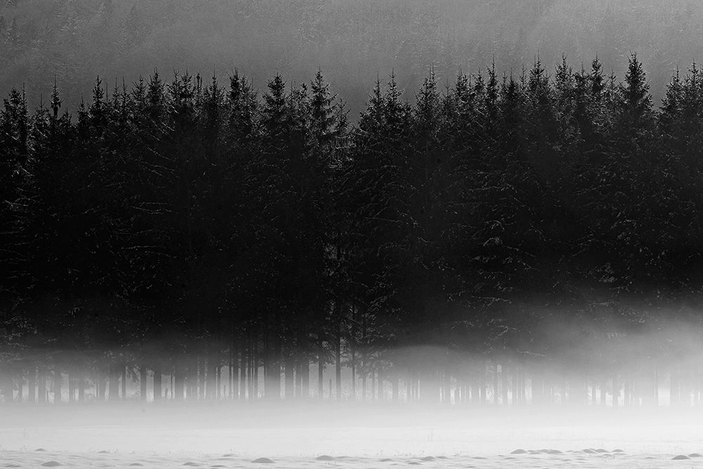 Winter art print by Jure Kravanja for $57.95 CAD