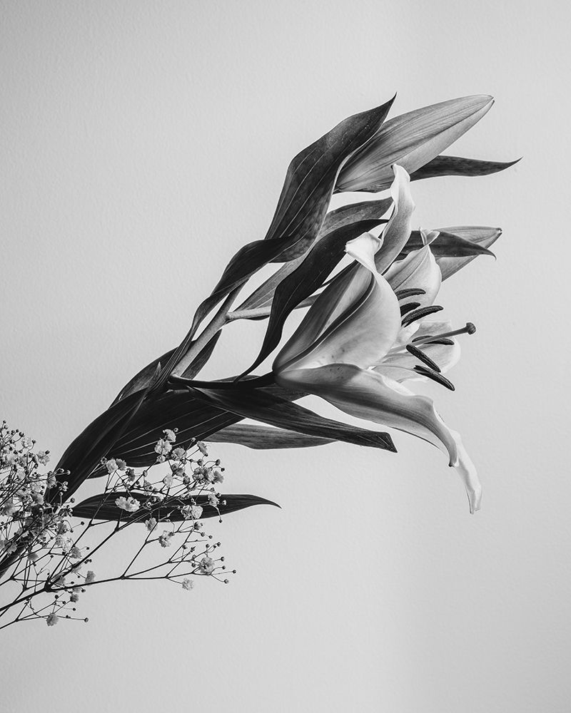 A Beautiful Flower art print by Rahel Jo for $57.95 CAD