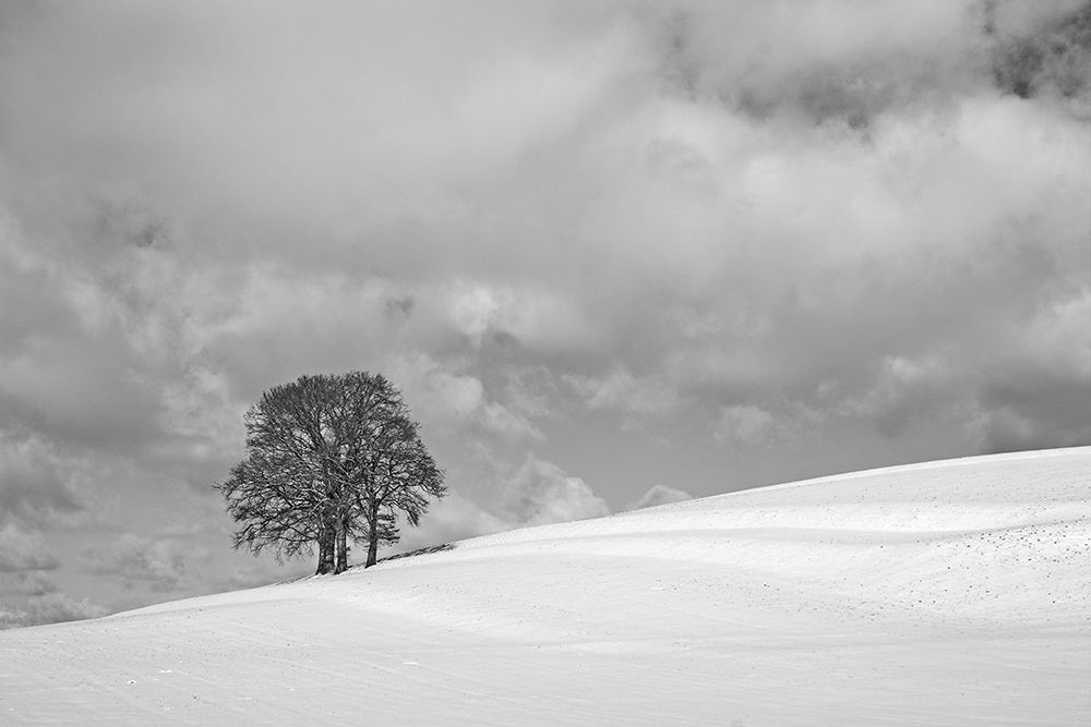 A cloudy winter day art print by Hans Peter Rank for $57.95 CAD