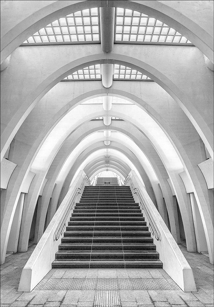 Calatrava lines art print by Jef Van Den for $57.95 CAD