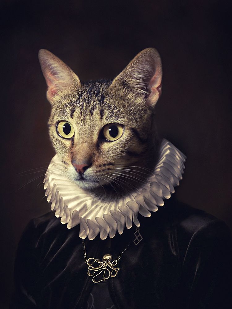 Sir Kiko art print by Paulo Dias for $57.95 CAD